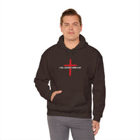Load image into Gallery viewer, I CAN...BECAUSE I KNOW A GUY COTTON BLEND HOODIE
