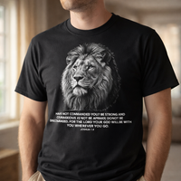 Load image into Gallery viewer, Joshua Lion 1:9